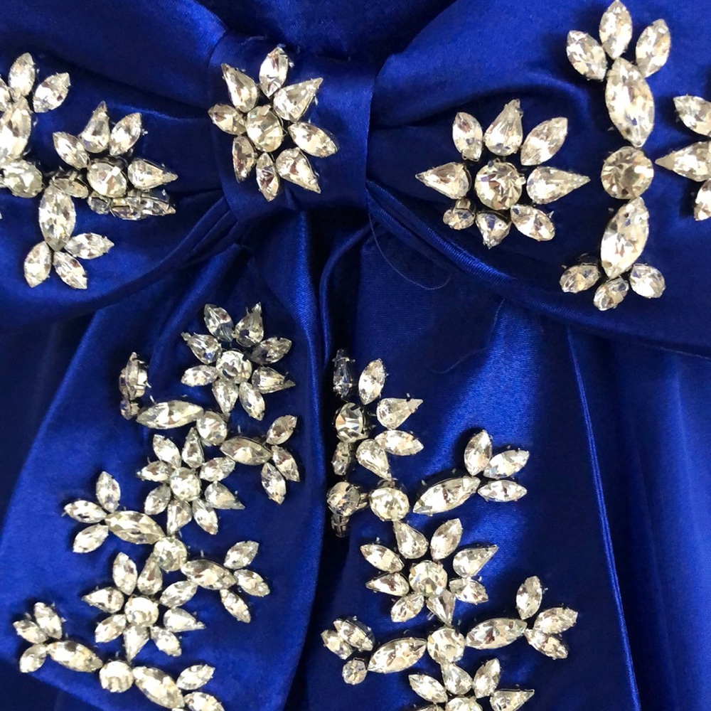 Royal Blue chiffon with train - Picture 14 of 16